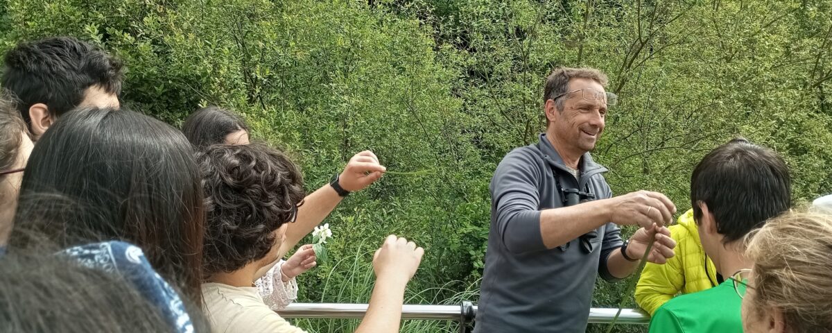 Jornada al aire libre con el Centro Fernando Arce