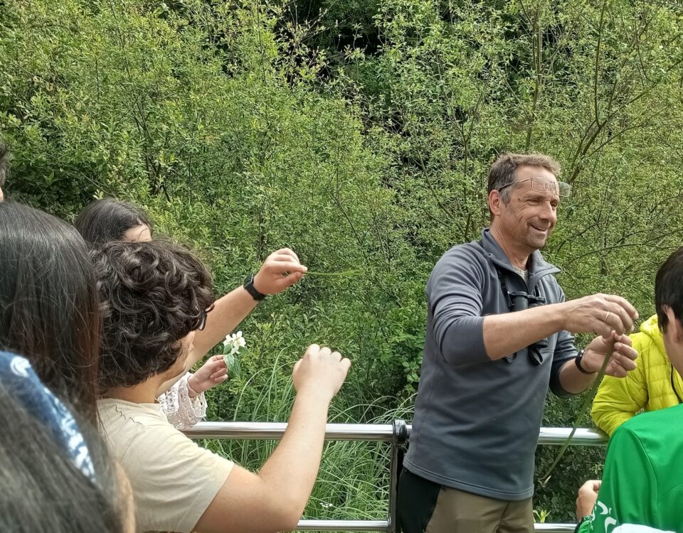 Jornada al aire libre con el Centro Fernando Arce