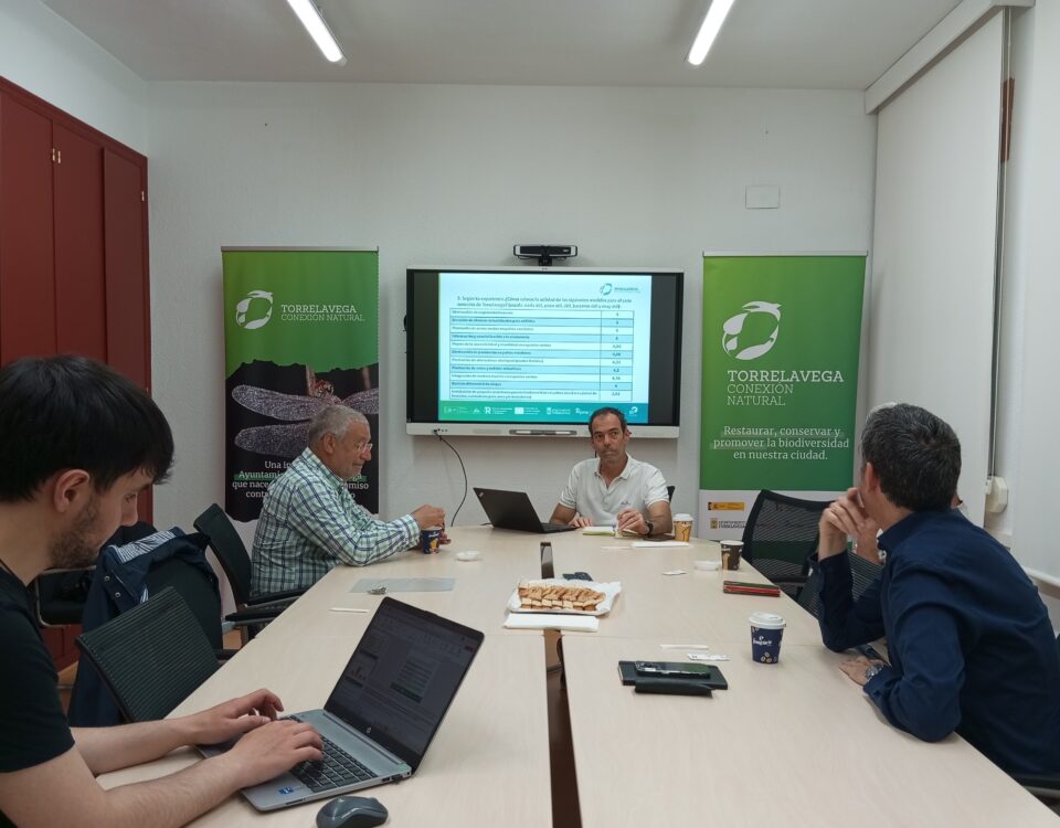 Encuentro con expertos