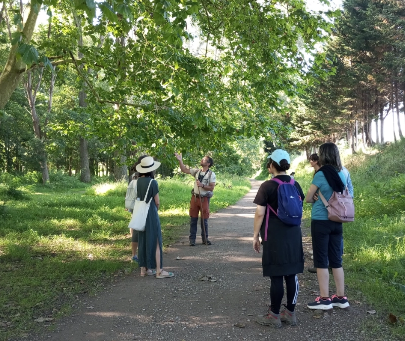 actuacion-las-tablas-general