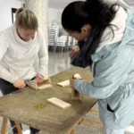 Cajas nido para aves