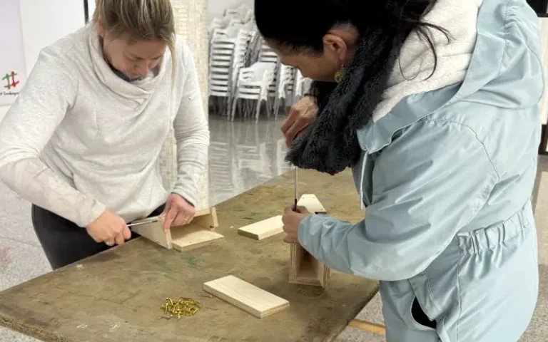 Cajas nido para aves