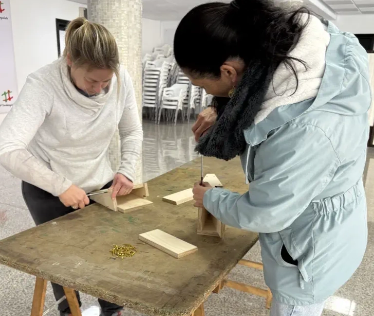 Cajas nido para aves