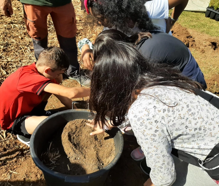 Renaturalización de patios