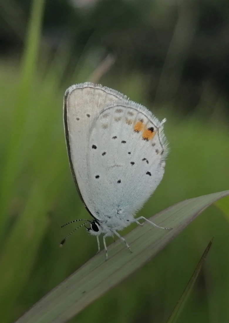 sobre-proyecto-trailer-box